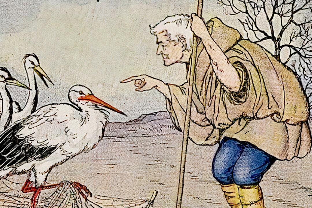 Aesop’s Fables: The Farmer and the Stork