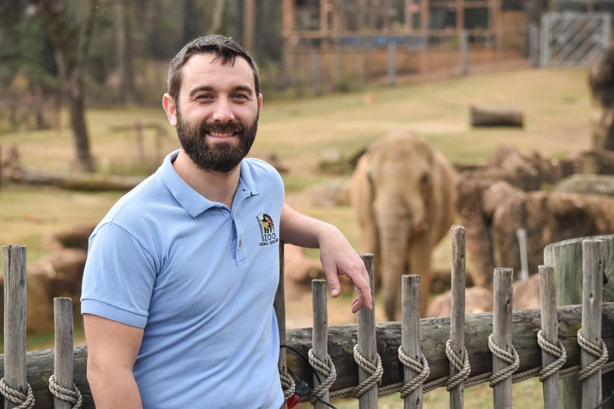 Bank Worker-Turned-Zookeeper Relishes the Joys of Tending to Gentle Elephants