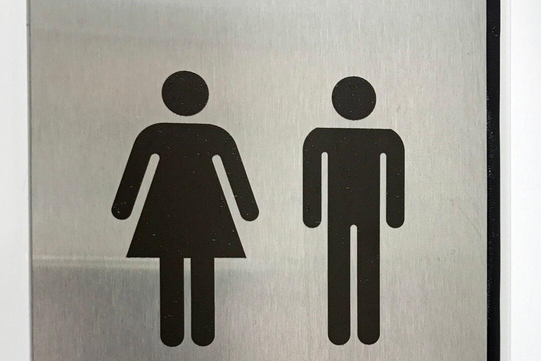 All Public Buildings Must Have Separate Male and Female Toilets, Announces British Government