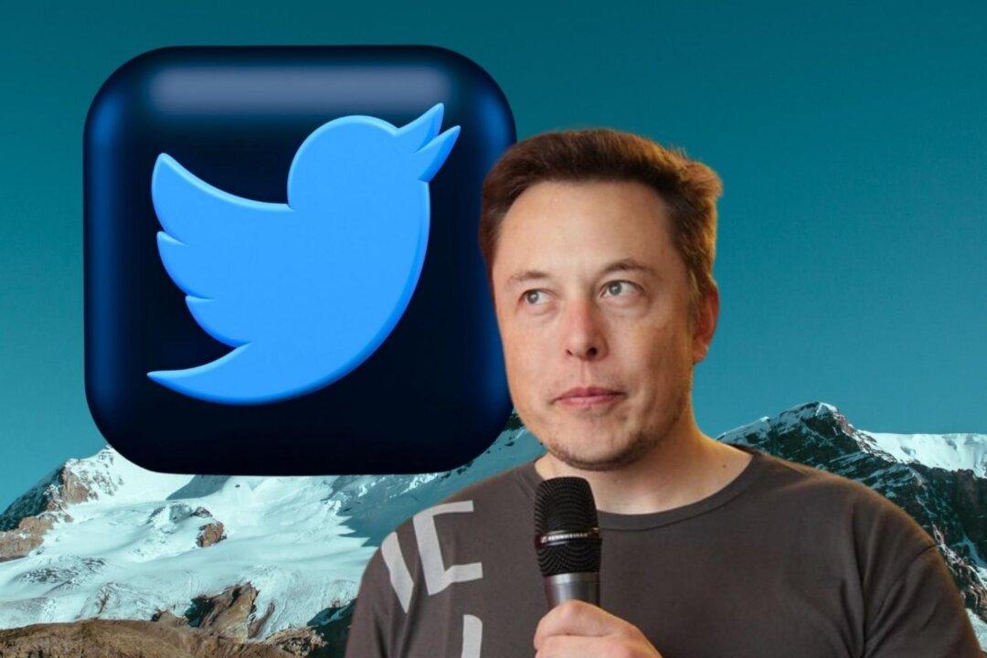 Musk No Longer Twitter’s Largest Shareholder: Who Has the Top Spot With an Over 10 percent Stake in the Company?