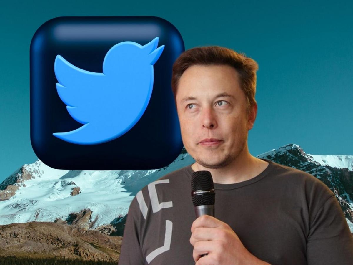Musk No Longer Twitter’s Largest Shareholder: Who Has the Top Spot With an Over 10 percent Stake in the Company?