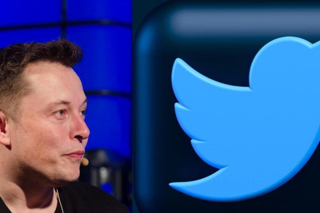 Who’s Afraid of Elon Musk?