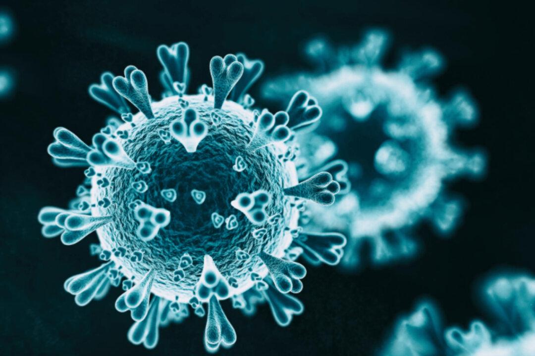 Sunshine Biopharma Looks Ahead in COVID and Cancer Treatments