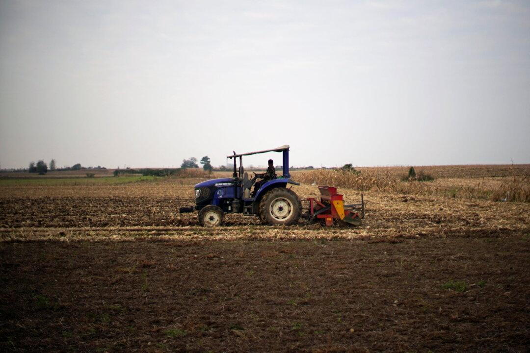 China’s Farmers Face Fertilizer Crunch as COVID-19 Measures Hamper Deliveries