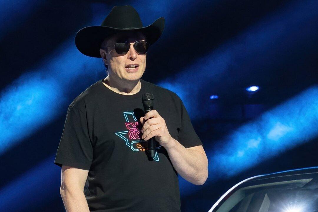 Elon Musk Channels Chuck Norris as He Girds Up for Twitter Court Fight