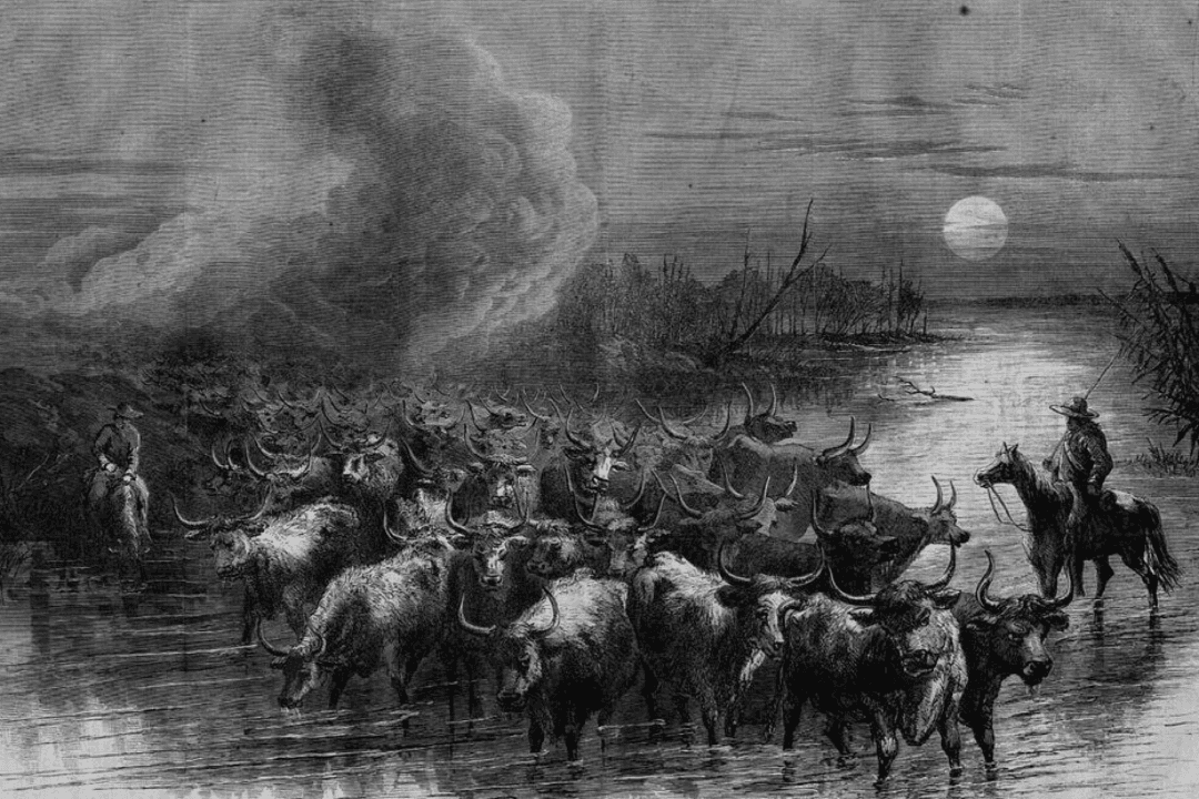 American Pioneer Adventures: Nelson Story Led The Longest Cattle Drive in History, from Texas to Montana