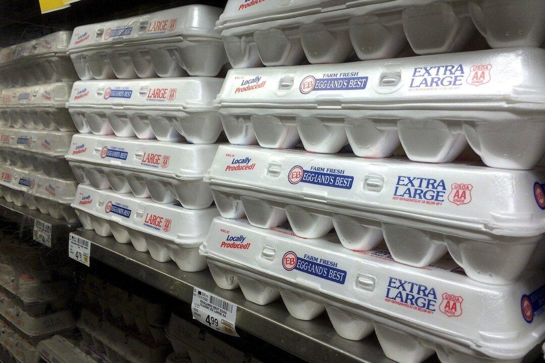 Food Industry Adjusting to Large Outbreak of Avian Flu in Canada, Around the World