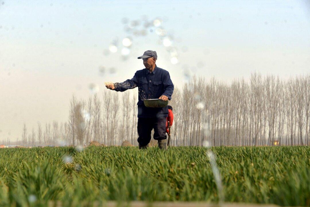 Chinese Farmers Stranded in Locked-Down City; Spring Planting Delayed