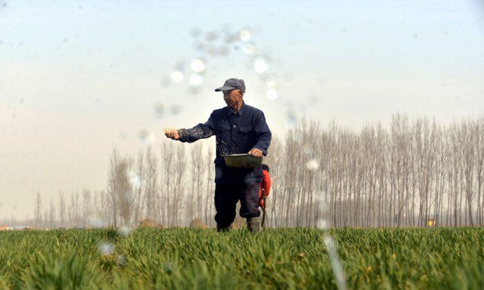 Chinese Farmers Stranded in Locked-Down City; Spring Planting Delayed