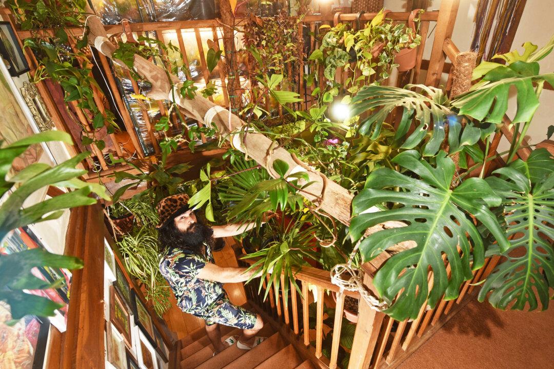 Real-Life Tarzan: Plant-Lover Spends Over $26,000 Turning Home Into Jungle
