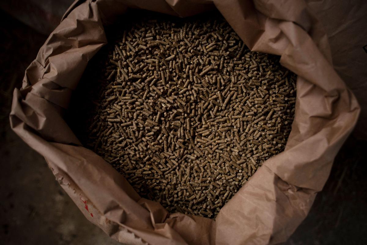 Wheat Closes at the Highest Since Late March on Supply Worries