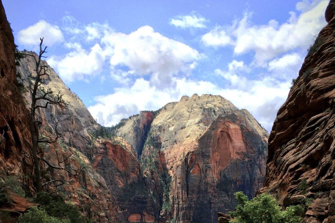 Zion National Park, Full of Formidable Landscapes Borne of Nature’s Dramatic Forces