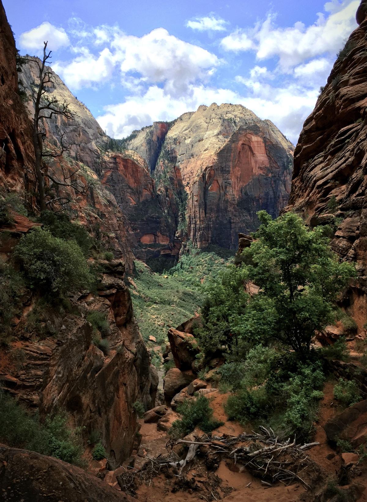 Zion National Park, Full of Formidable Landscapes Borne of Nature’s Dramatic Forces