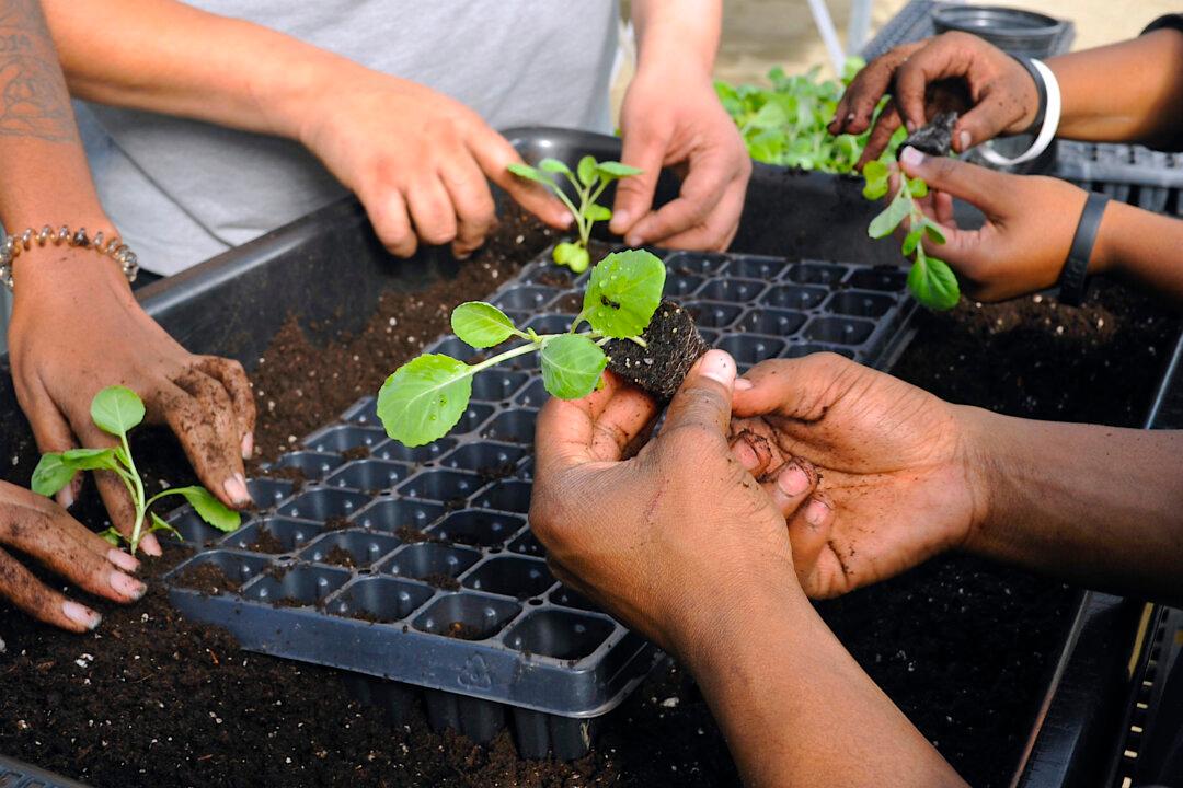 Meet an Alabama Farm That is Partnering with Local Schools to Make Learning Fun