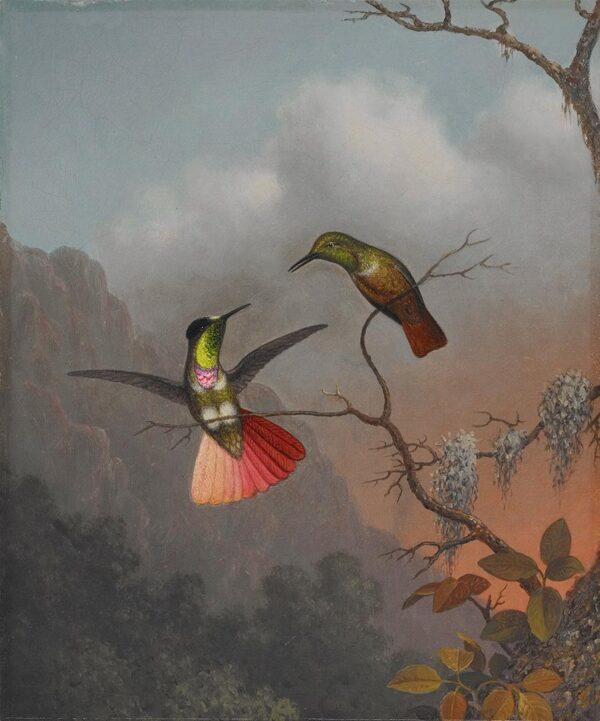 “The Amethyst, Brazil” by Martin Johnson Heade, 1863. (Museum of the Shenandoah Valley)
