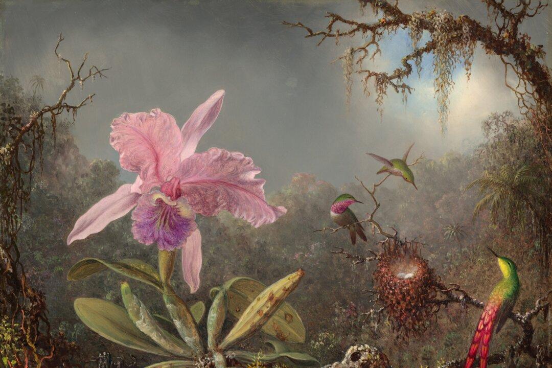 This 19th-Century American Painter Journeyed Deep into the Brazilian Jungle to Capture the Essence of Delicate Hummingbirds