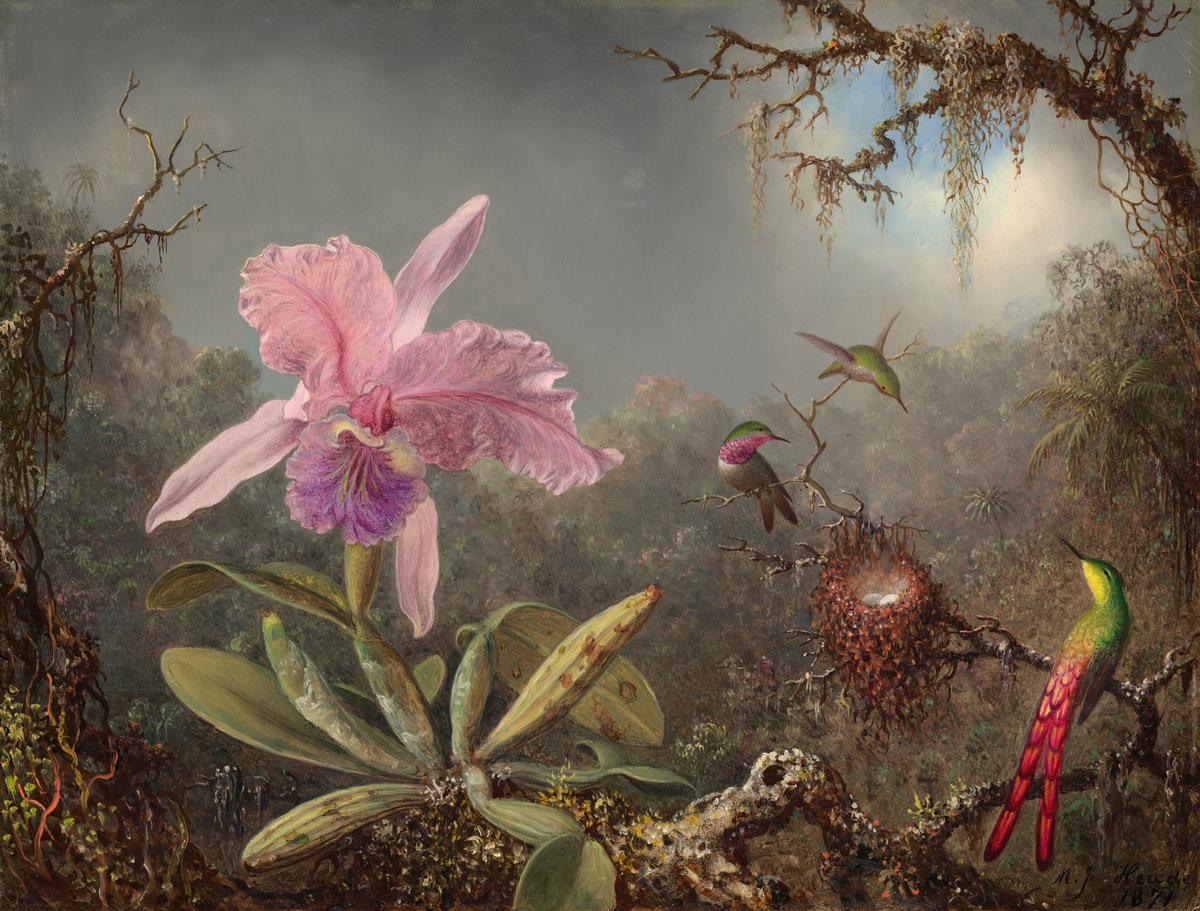 This 19th-Century American Painter Journeyed Deep into the Brazilian Jungle to Capture the Essence of Delicate Hummingbirds