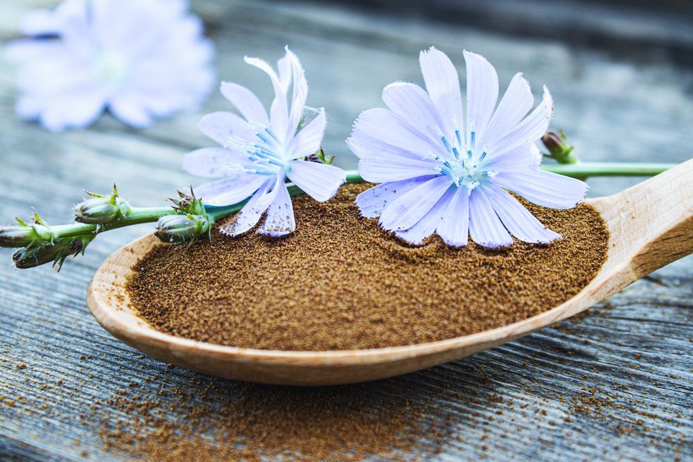 Cooking for Healing: The Medicinal Magic of Chicory
