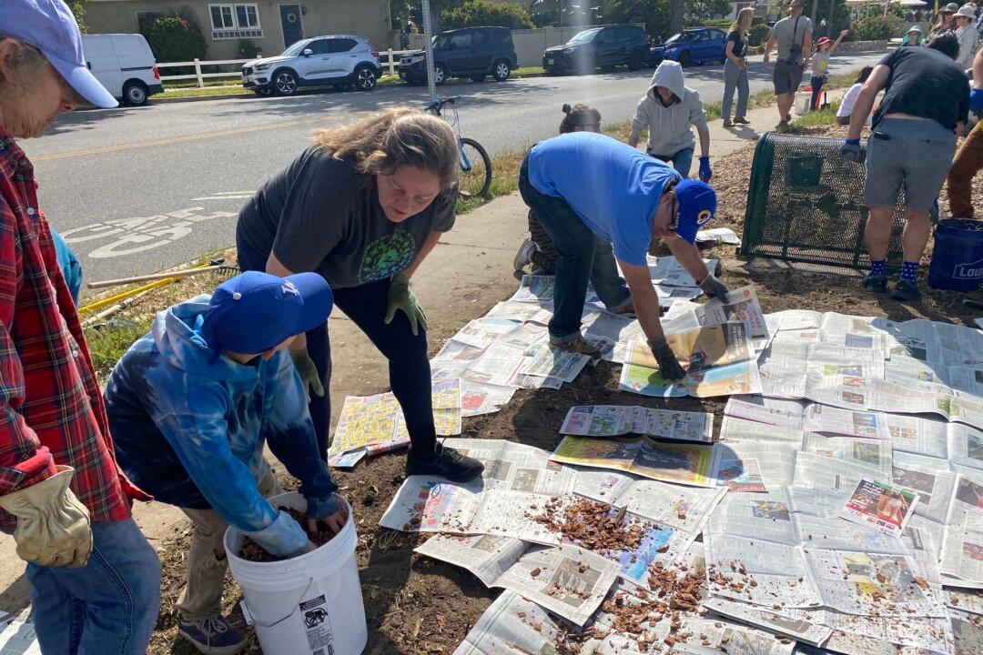 Burbank Sees Gardening Wave Amid Record Inflation, Pandemic