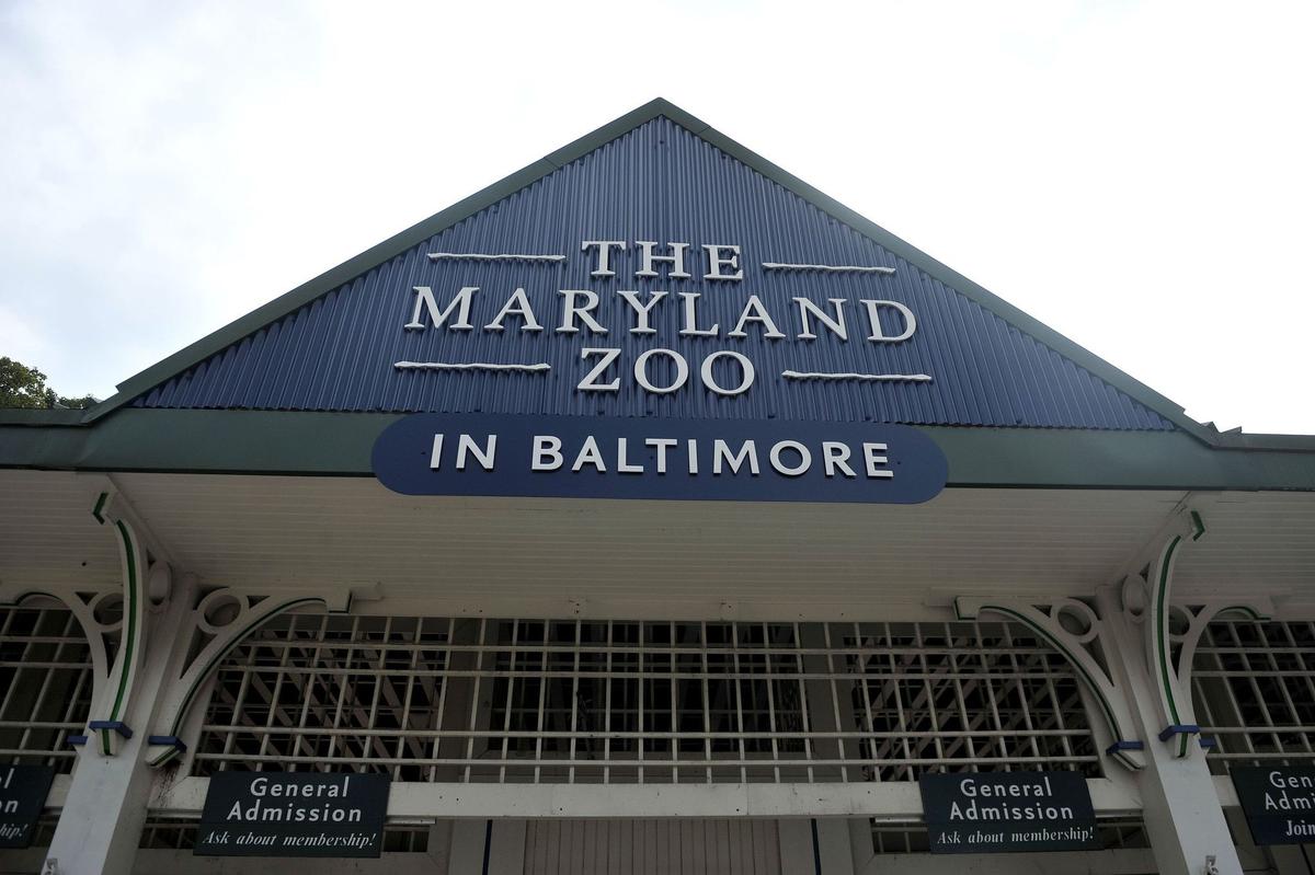 The Maryland Zoo in Baltimore Set to Open Life-Size Robotic Dinosaur Exhibit in May