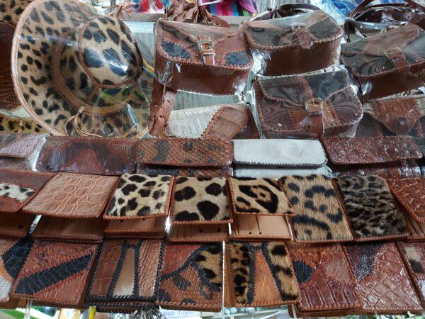Black market stall in Trinidad displaying products made from jaguar, anaconda, ocelot, and other wild animals on April 11, 2022. (Autumn Spredemann/The Epoch Times)