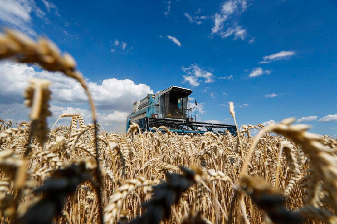 Food Shortages May Come From Excessive Intervention