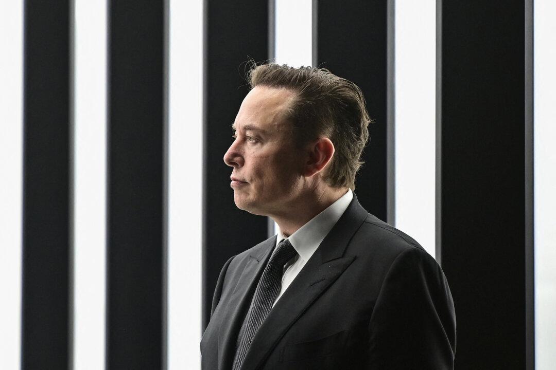 Elon Musk and Cathie Wood Say Passive Investing Has Gone ‘Too Far’