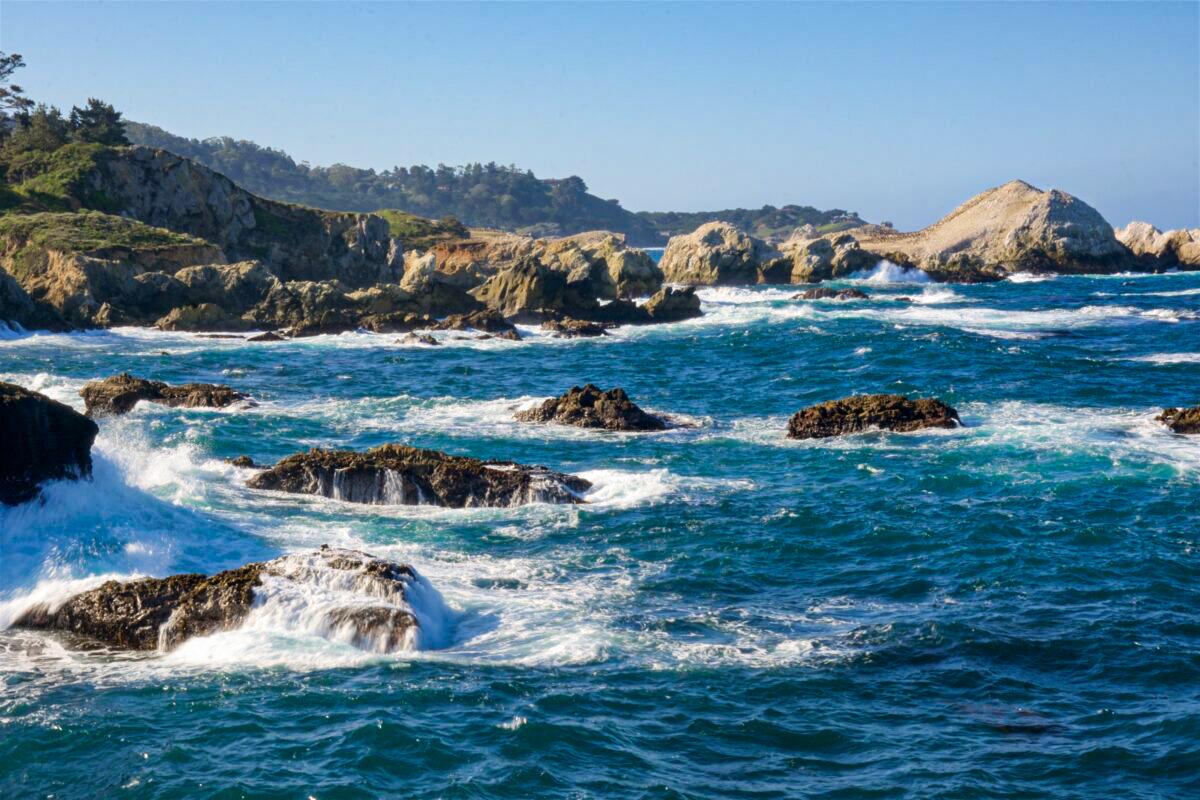 The Fascinating History of Point Lobos, Calif.