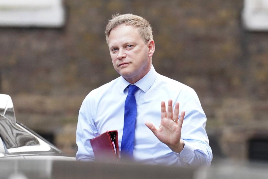 More Immigration Not the Answer to Airport Travel Chaos, UK Minister Says