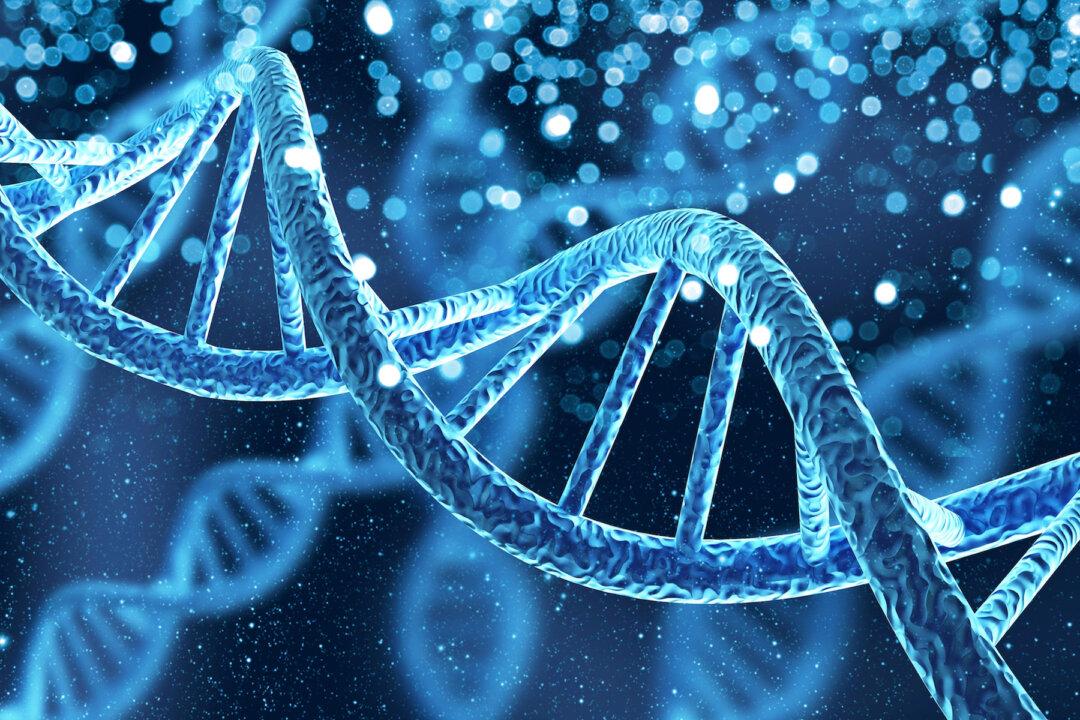 How Genetics Is Giving Way to a New Science of Life