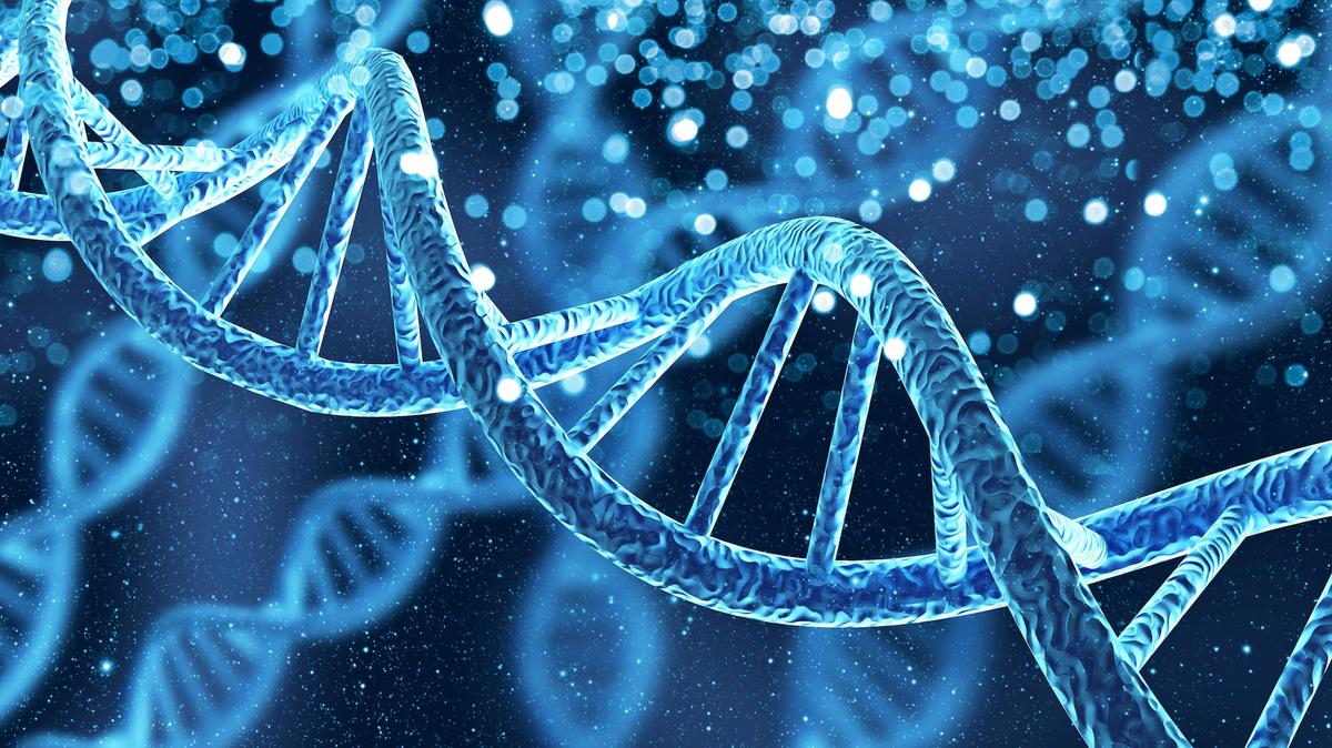 Do Electromagnetic Fields Regulate Your Health? What Schumann Resonances, Bacteria Teleportation, and Frankenstein Have in Common