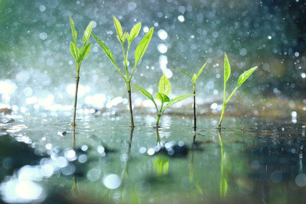 When we invest, we should focus on quality, not quantity. (Kichigin/Shutterstock)