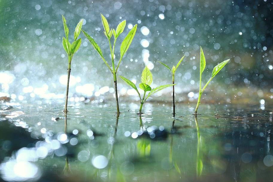 6 Reasons Sustainability Investments Should Be in Your Portfolio