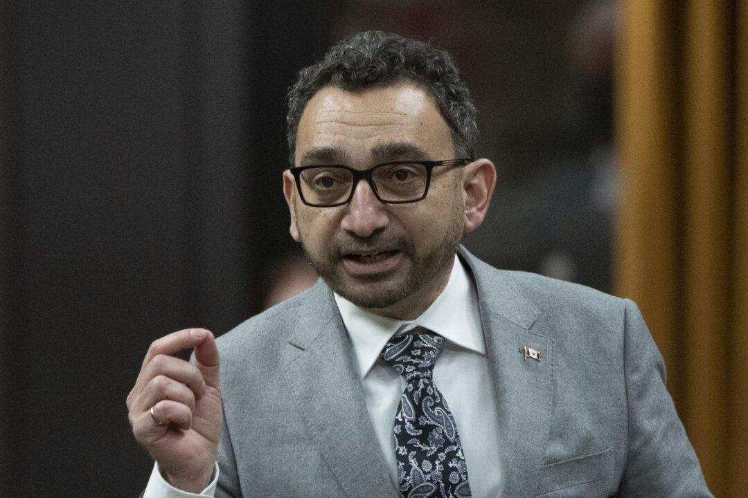 House Committee Wants Transport Minister to Testify on Holiday Travel Mayhem