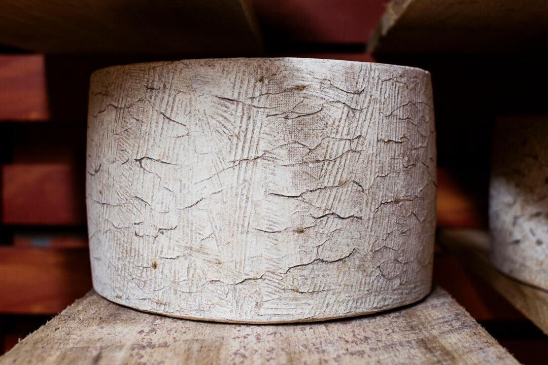 A North Carolina Artist Had a Dream of Making Cheeses the Old World Way, Like His Italian Father—So He Built a Cave in the Mountains to Do It