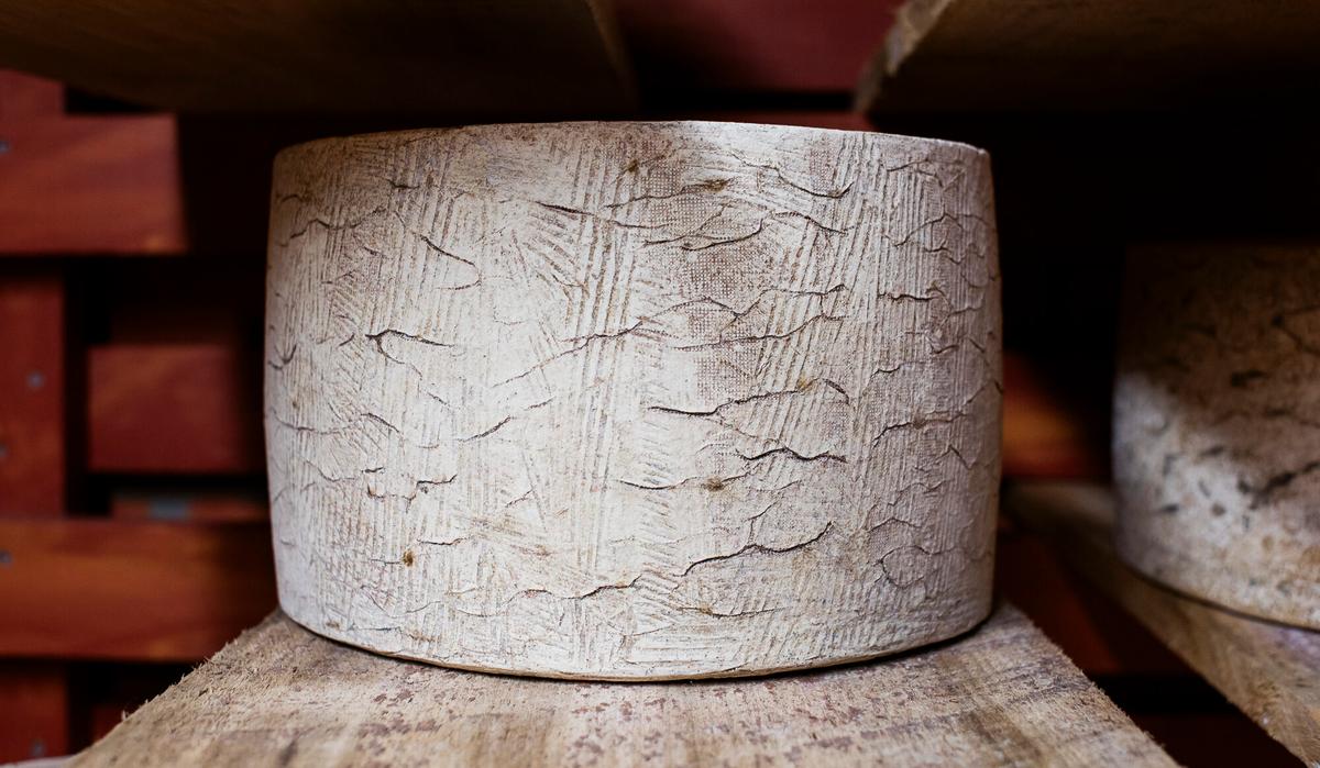 A North Carolina Artist Had a Dream of Making Cheeses the Old World Way, Like His Italian Father—So He Built a Cave in the Mountains to Do It