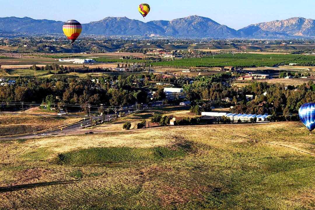 Ballooning in Temecula: Love Is in the Air