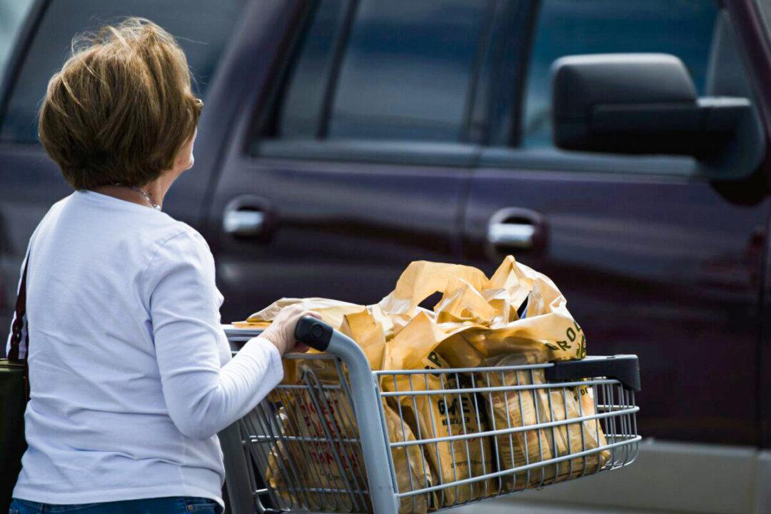 Ottawa Prepares for Ban on Single-Use Plastics in Food Packaging