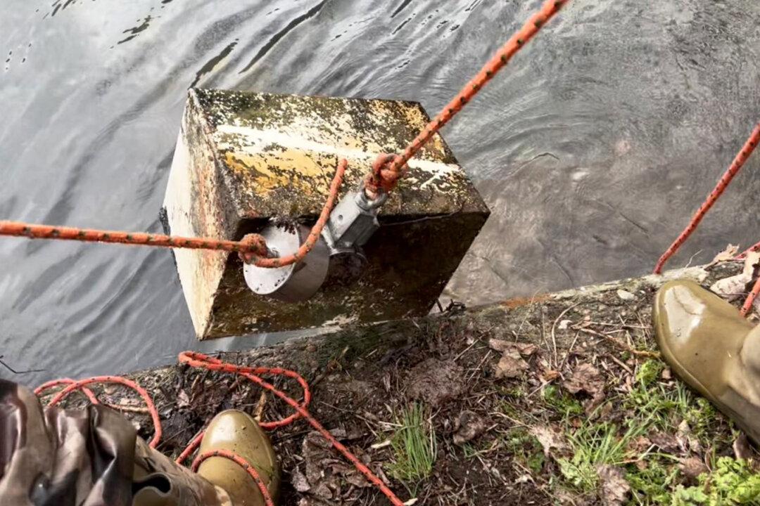 Magnet Fisher, 15, Catches Safe With $1,800, Returns It to Owner From Whom It Was Stolen 22 Years Ago