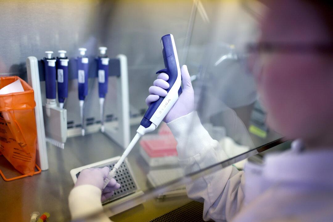 US, UK, China Collaborating on ‘Newly Emerging Avian Influenza Viruses’: Report
