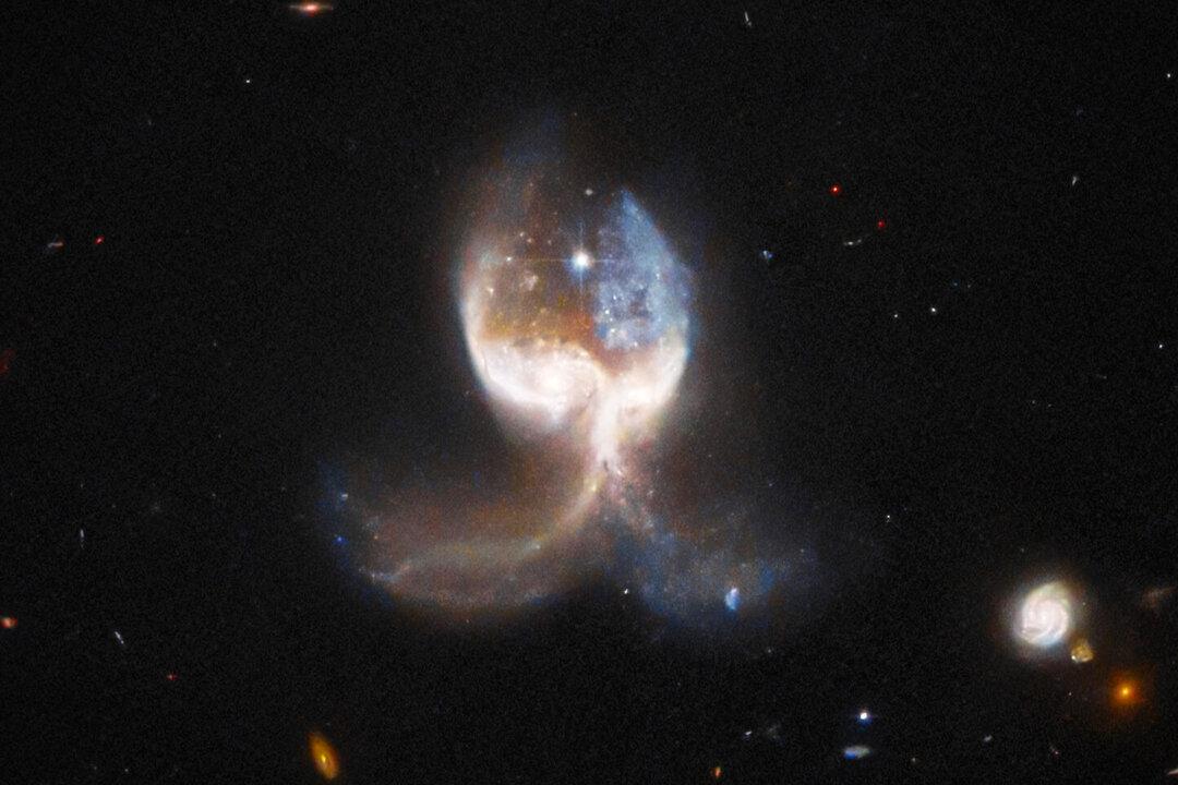 Astronomers Discover Cosmic ‘Angel Wings’ Caused by Collision of 2 Galaxies in Leo Constellation