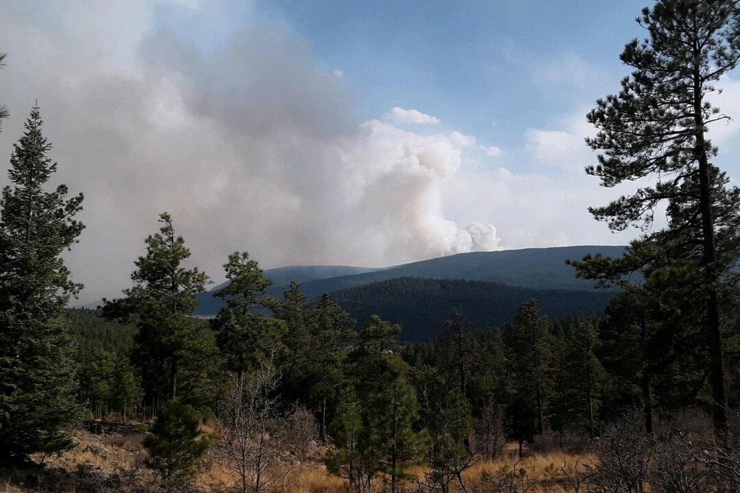 Largest US Wildfire Rages out of Control in New Mexico