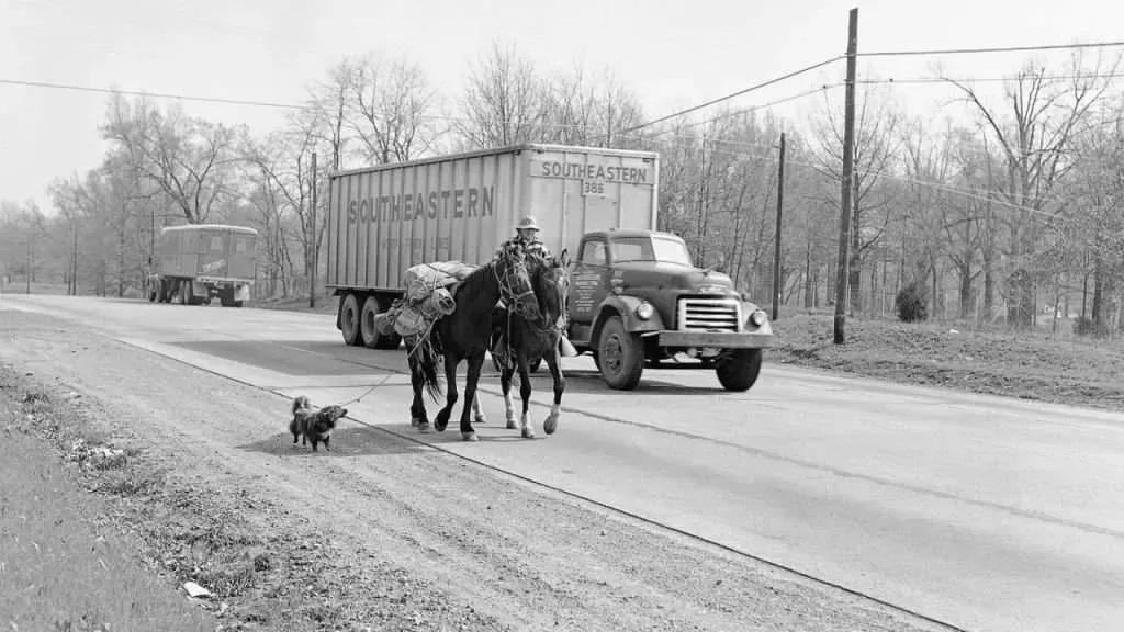 Book Review: ‘The Ride of Her Life: The True Story of a Woman, Her Horse, and Their Last-Chance Journey Across America’