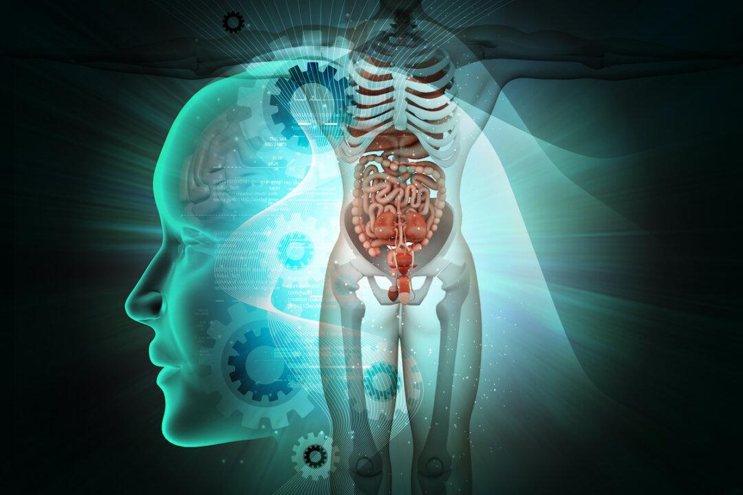 This Is Your Endocrine System