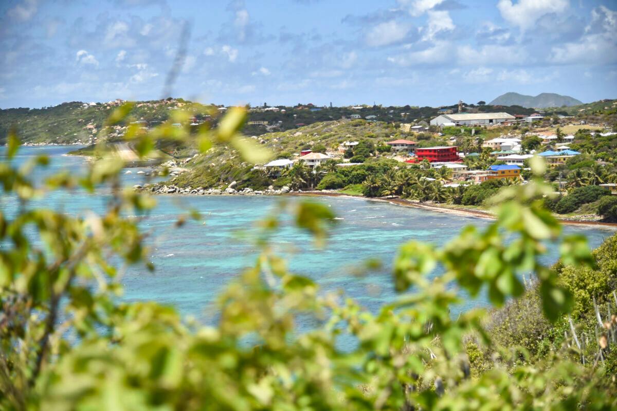 British Virgin Islands Premier Got Arrested for Alleged Cocaine-Smuggling to the US