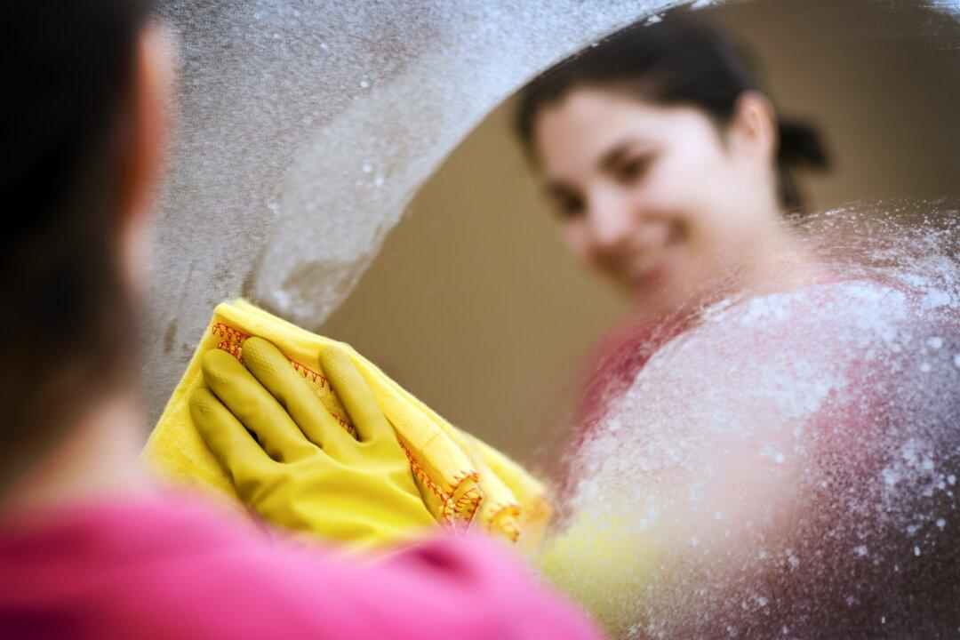 In Praise of the Anti-Feminists Defending Domesticity