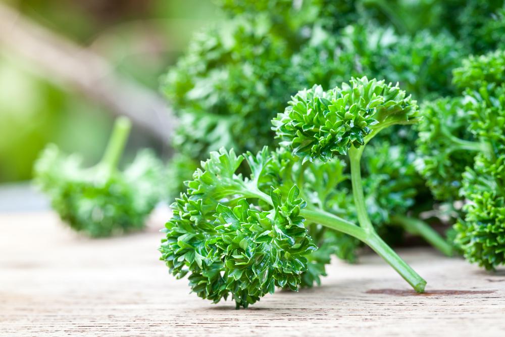 The Pleasures of Curly Parsley