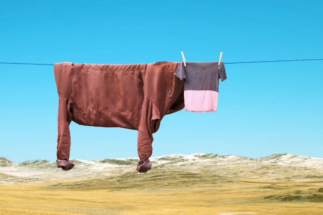Photos: Artist Transforms Hanging Laundry and Everyday Items Into Surreal Characters