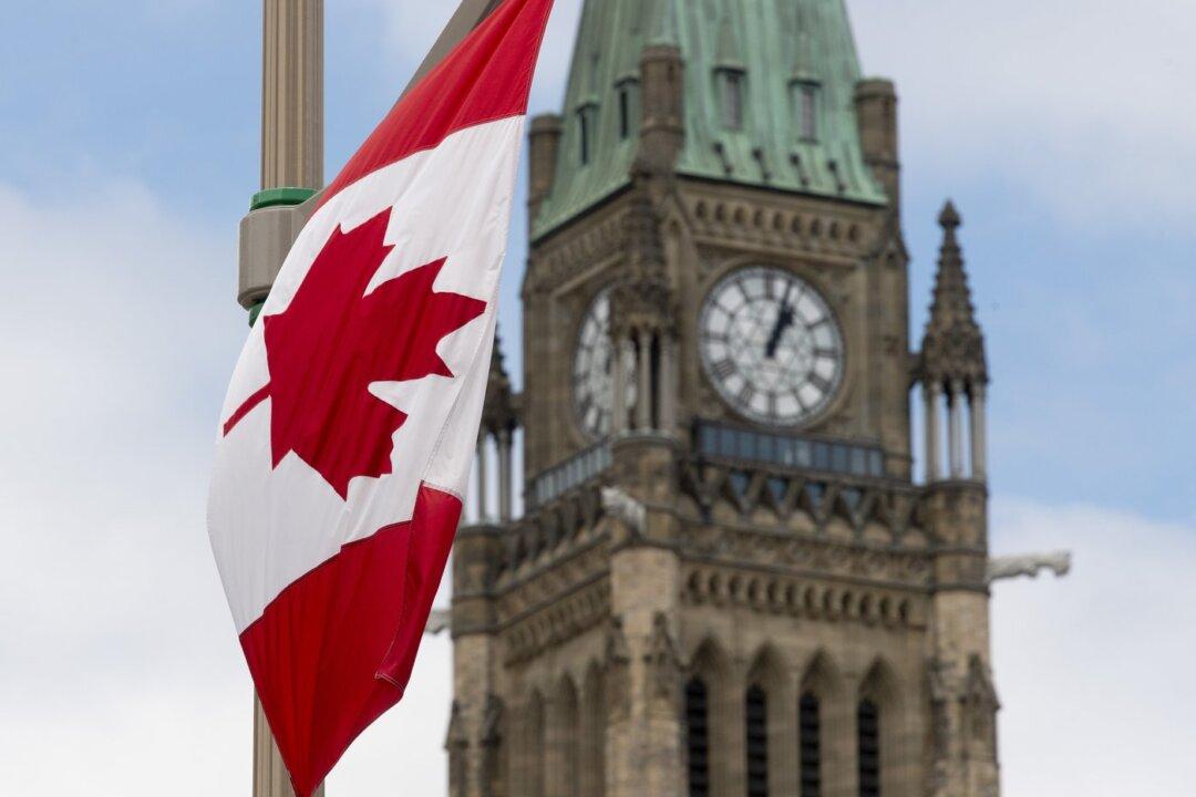 Inquiry Into Foreign Interference ‘Complicated,’ Says New Public Safety Minister