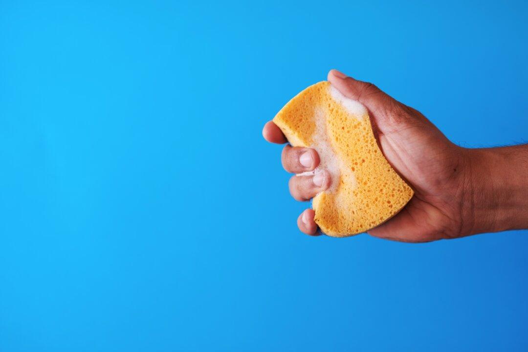 Readers Share Even More Brilliant Uses for Blue Dawn